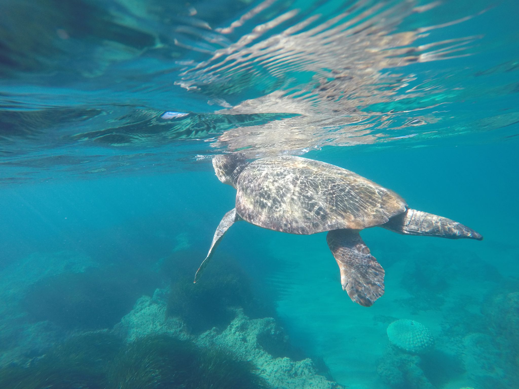 picture of snorkelling in cyprus