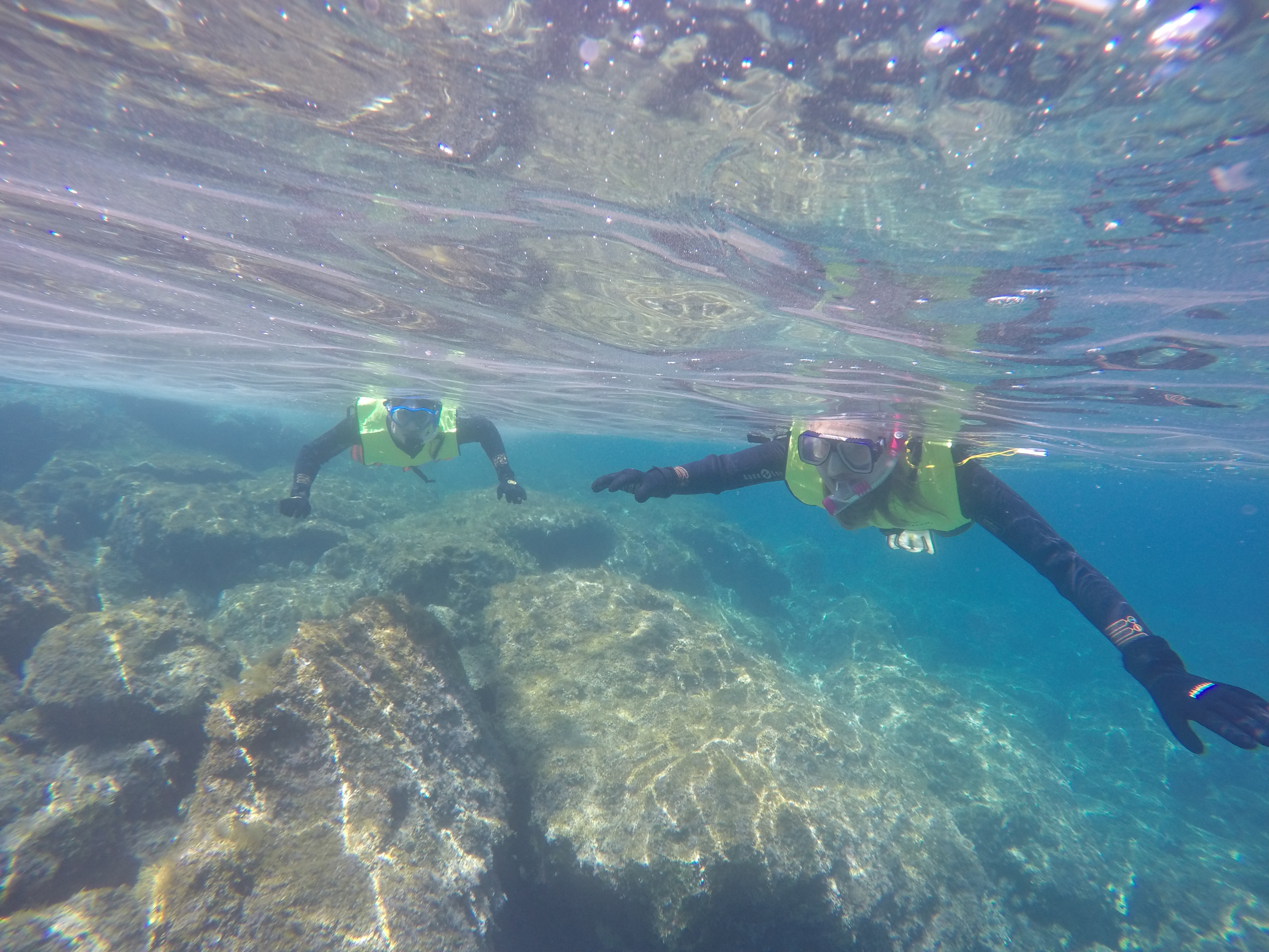 Turtles in Paphos Scuba Diving