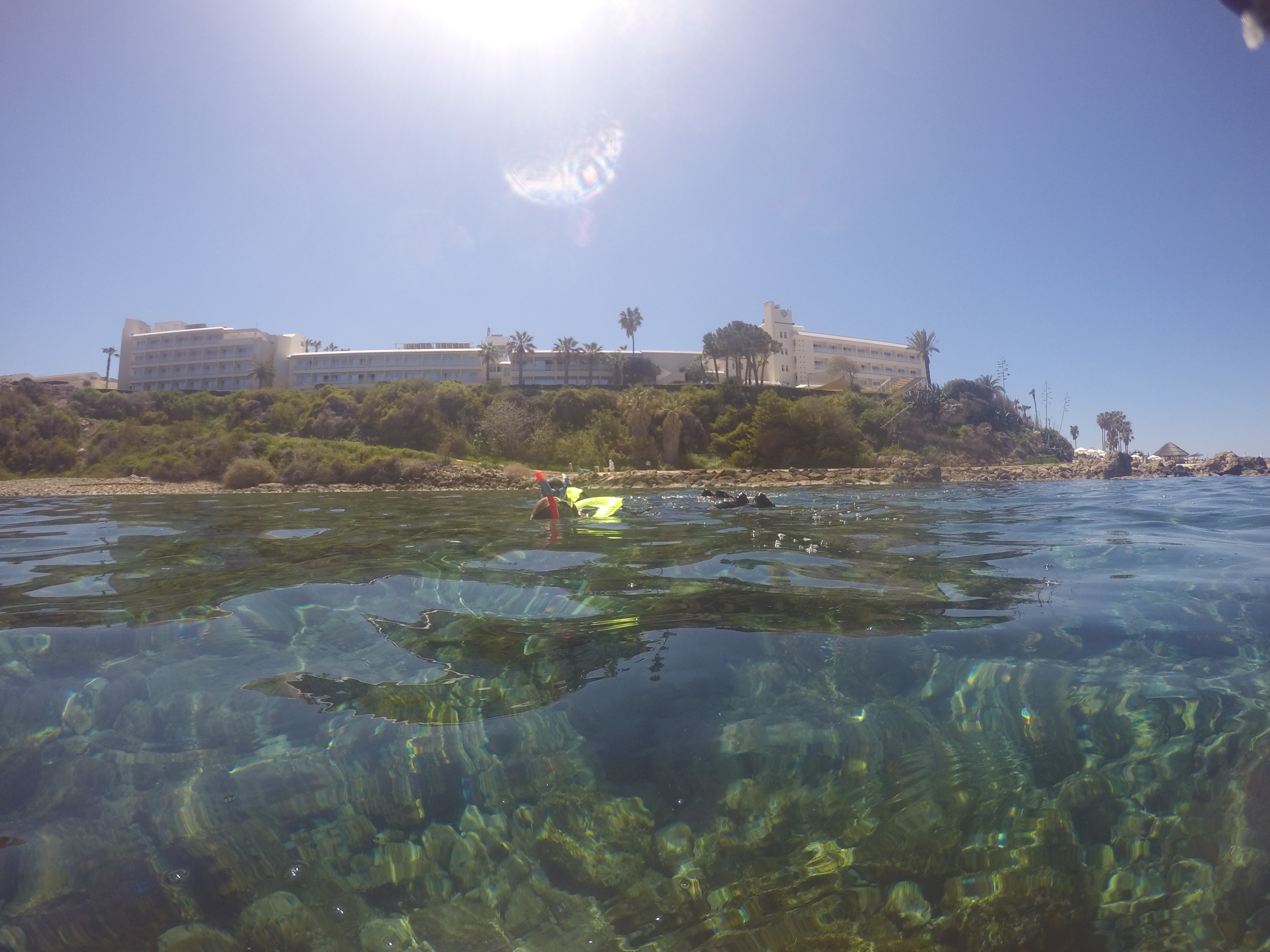Paphos snorkelling tour with turtles