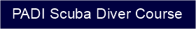 link to PADI scuba diver course