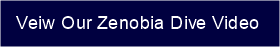 link to veiw zenobia video